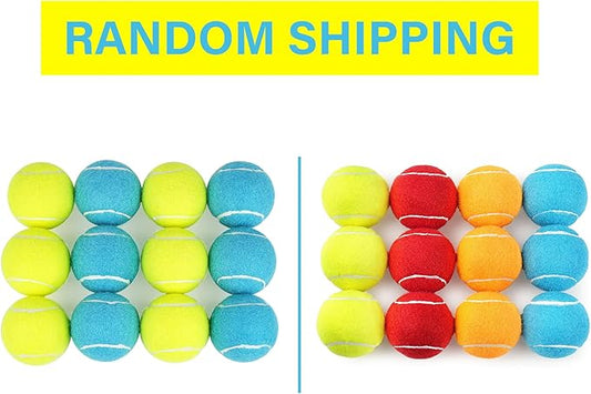 PrimePets Tennis Balls for Dogs, 2.5 Inch, 12 Pack, Squeaky Dog Toy, Interactive Pet Fetch Ball for Medium and Large Dogs, Squeaky Dog Toys (Random Color Shipping)