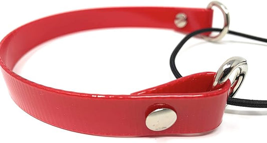 Sparky Pet Co - ECollar Replacement Strap - Bungee Dog Collar - Waterproof - Adjustable - Secure Nexus Wheel Lock - for Electronic Training & Invisible Fence Systems - 3/4" (Red)