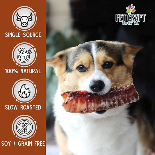 Pet Craft Supply All Natural Healthy Buffalo Trachea Bones Dog Chews Treats for Aggressive Chewers Long Lasting Rawhide Free Premium Slow Roasted for Puppies Small Medium Large Dogs 6 Pack