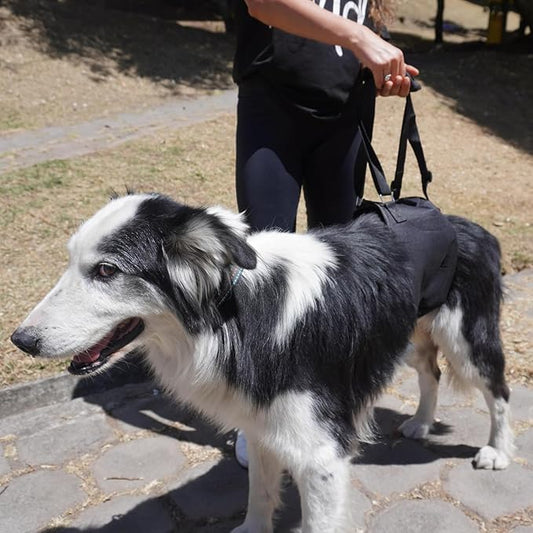 Canine Dog Sling Carrier Support Back Legs Hip Knee Hock Joint Harness to Help Lift Dogs Rear Aid and Old K9 Cruciate (X-Large, Black)