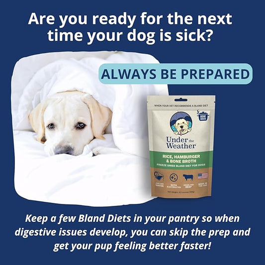 Under the Weather Bland Diet for Dogs | Easy to Digest for Sick Dogs | Always Be Ready | Contains Electrolytes - Natural Freeze Dried 100% Human Grade Meats| 2 Pack- Rice, Hamburger & Bone Broth - 6oz