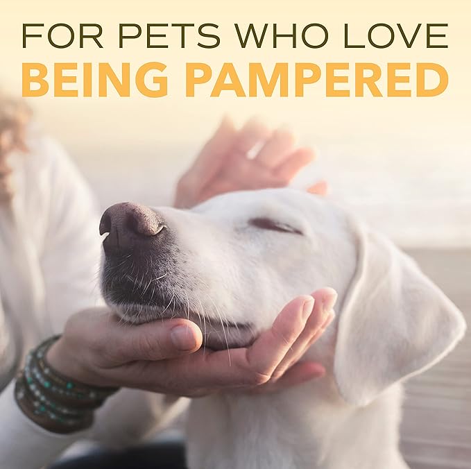 TropiClean SPA Lavish Dog Conditioner | Nourishing Conditioner For Dogs | Naturally Derived Salon Grade Ingredients | Made in the USA | 16oz