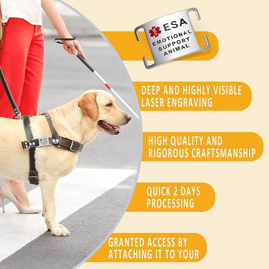 No Noise Stainless Steel K9 ESA Dog Tags, Slide on Dog Collar or Harness Quickly and Securely – Stainless Steel/Extra Large