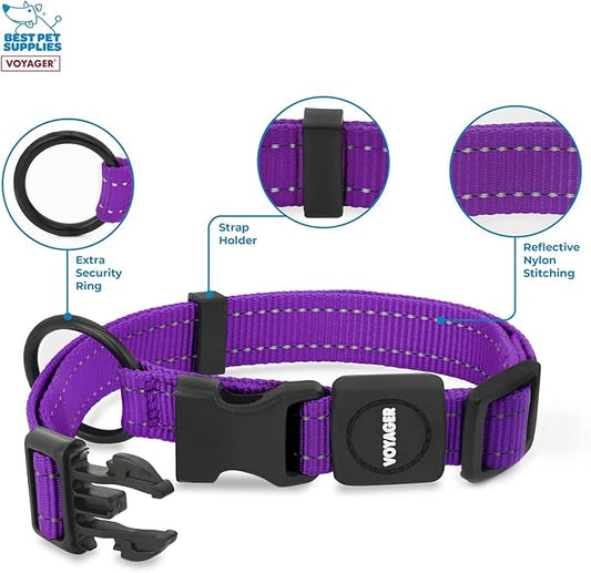 Best Pet Supplies Reflective Dog Collar with Adjustable Length, Heavy-Duty Buckle, and Strong Leash D-Ring, Training, Walking, Jogging Accessory for Small, Medium, and Large Breeds - Purple, L