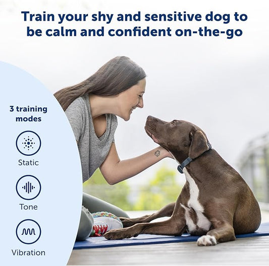 PetSafe 600 Yard Lite Remote Training Collar – Smaller Version for Small or Medium Dogs – Choose from Tone, Vibration, or 15 Levels of Static Stimulation – Medium Range for Training Off Leash Dogs