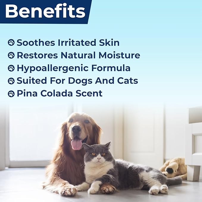 Replenish Aloe and Oatmeal Dog Shampoo -β―Hypoallergenic Pet Shampooβ―forβ―Allergies & Sensitive Skin, Medicated Dog Shampoo for Itching Relief &β―Oatmeal Bath for Dogs Dry Flaky Skin Treatment β 12 Oz