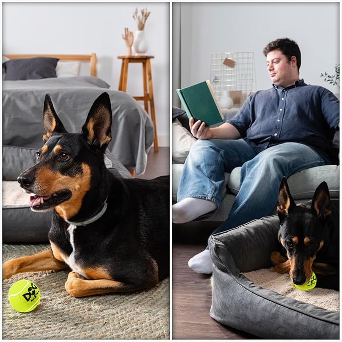 Squeaky Tennis Balls for Dogs Colorful Easy Catching Pet Dog Balls 50 Pack (2.5inch-6colors)