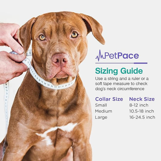 AI Health Monitor & GPS Tracker for Dogs | Track Heart Rate, Pain, Anxiety & Stress | Vet Backed, Near Real-Time Alerts & Monitoring | Subscription Required | PetPace Smart Collar 2.0 (Small)