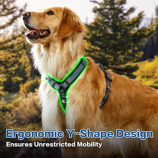 PawsPassion Dog Harness for Medium Dogs, No Pull Dog Harness Easy Walk with Metal Hardware, Ergonomic Y-Shaped Design, Soft Padding, Padded Handle, Durable High-Tensile Nylon (Nightfall, M)