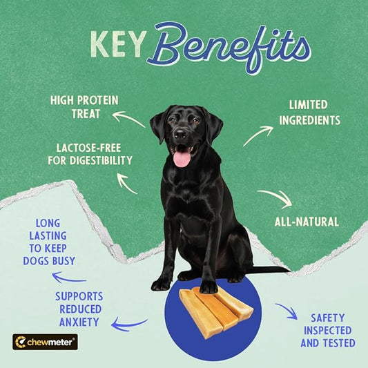 Chewmeter Himalayan Yaky Cheese Chew, 100% Natural, Long Lasting, Gluten Free, Healthy & Safe Dog Treats, Lactose & Grain Free, Protein Rich, Stain Free, Large, For Dogs 55 Lbs & Under, 3 lb Bulk Tub