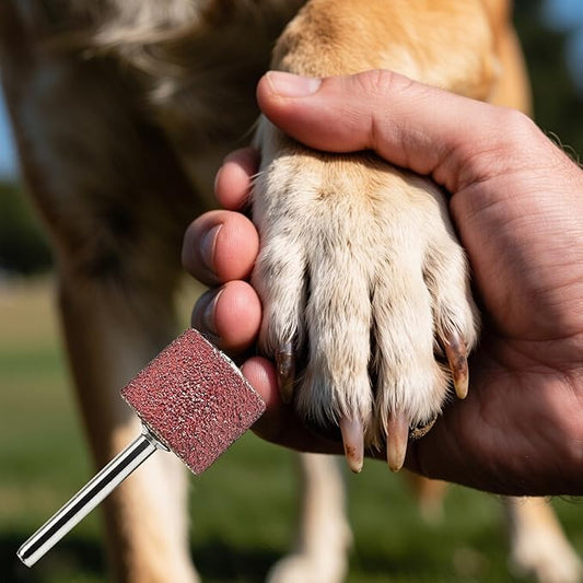 22-Pack Pet Nail Grinder Replacement Kit - Sanding Bands for Dogs & Cats -1/2" Black Grinding Drums Claw Care, Compatible with All Major Pet Grinders (120 Grit)