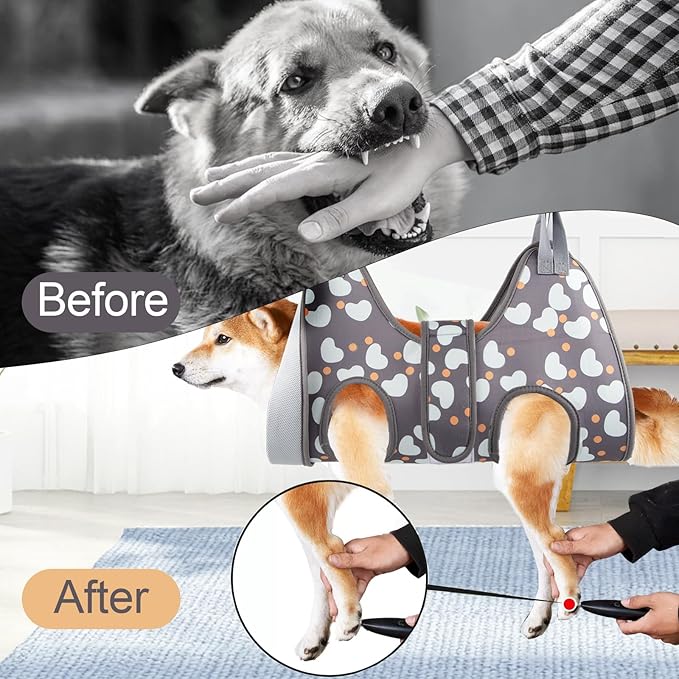 Dog Grooming Hammock for Medium/Large Dogs with Nail Clippers/Nail Trimmers, Dog Grooming Harness for Nail Trimming, Pet Grooming Sling Helper