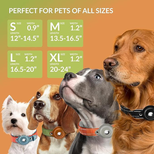 Airtag Dog Collar, CollarDirect, Reflective Dog Collar for Apple Air Tag for Large, Medium, and Small Dogs, Green, XL