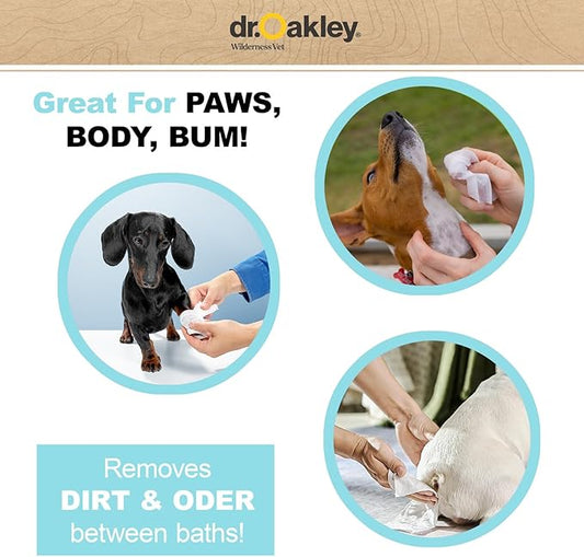 Daily Natural Dog Wipes, Unscented, 100 Ct, Gentle, Moisturizing, Odor-Eliminating, Alcohol-Free, Vet Approved