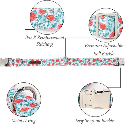 Lionet Paws Dog Collar, Comfortable Adjustable Cute Collar with Metal Buckle for Male Female Dogs Gift, Rose, Small, Neck 10-16 inches