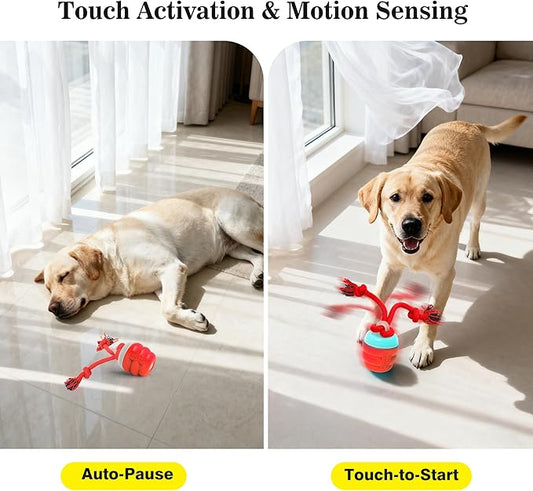 Interactive Dog Toys Balls, Squeaky Dog Toy Active Rolling Ball for Training,Fit for Large/Medium/Small Puppy and Boredom Dogs,Rechargeable Smart Automatic Dog Toys(Red)