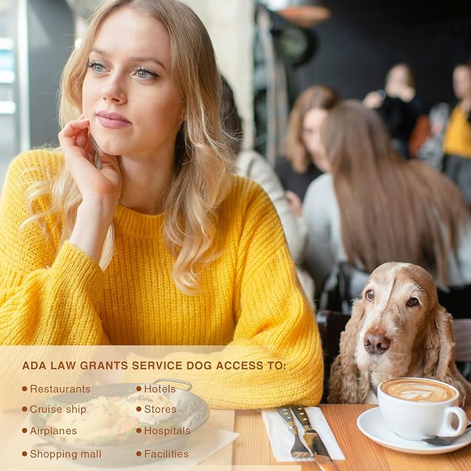 No Noise Stainless Steel K9 ESA Dog Tags, Slide on Dog Collar or Harness Quickly and Securely – PVD Gold/Medium