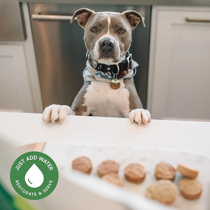 smallbatch Pets Freeze-Dried Premium Raw Food Diet for Dogs, 25oz, Chicken Recipe, Bulk Bag, Made in The USA, Organic Produce, Humanely Raised Meat, Hydrate and Serve Patties, Wholesome & Healthy