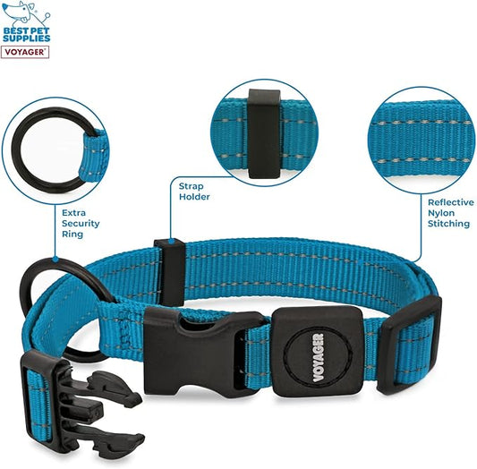 Best Pet Supplies Reflective Dog Collar with Adjustable Length, Heavy-Duty Buckle, and Strong Leash D-Ring, Training, Walking, Jogging Accessory for Small, Medium, and Large Breeds - Turquoise, M