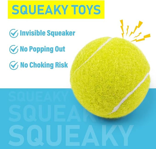 PrimePets Tennis Balls for Dogs, 2.5 Inch Squeaky Dog Balls for Play & Fetch, Squeaky Tennis Balls for Medium, Large Dogs, Dog Toy Balls
