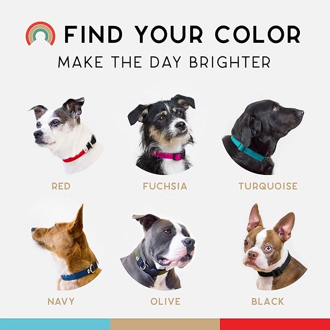 Dog Collar, Lightweight, Heavy Duty Dog Collar with Buckle, Fabric Pet Collar, Breathable & Adjustable Puppy Collar, Dog Collar for Large Dogs (Olive, Large - 14-24 Inch) - Wildebeest