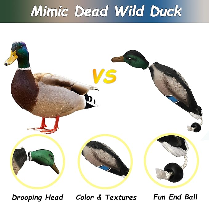 2 Pcs Duck Dummy Bumper Toys for Hunting Retriever Dog Training, Dog Retriever Outdoor Training Toy ,Hunting Duck Recognition Trainers, Foam Pet Interactive Toys