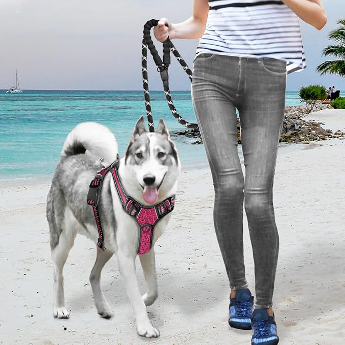 BARKBAY No Pull Dog Harness Large Reflective Dog Harness with Front Clip and Easy Control Handle for Walking Training Running with ID tag Pocket(Pink/Black,S)