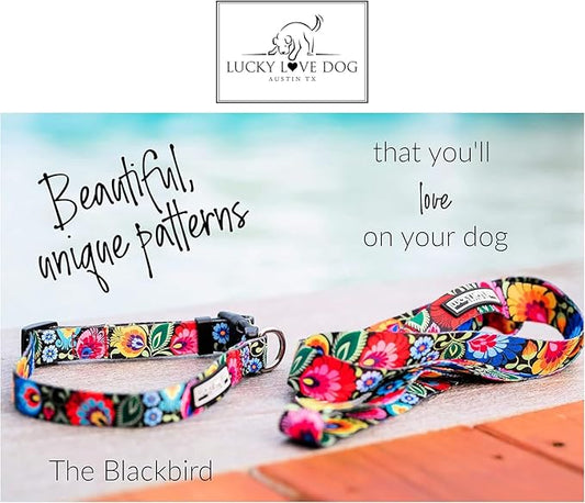 Lucky Love Dog Martingale Collar and Leash Set, Premium No Slip Collar and Leash Set, Great for Whippets, Greyhounds, and More (Blackbird, Small - Combo)