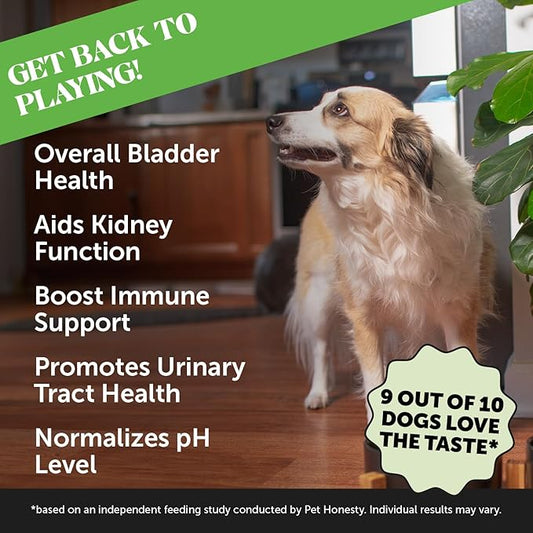 Pet Honesty Cranberry Bladder Health for Dogs – Contains Active Ingredients - Cranberry & D-Mannose to Help Support Dog Urinary Tract Health, Dog Bladder Support, & Kidney Support for Dogs (Bacon)