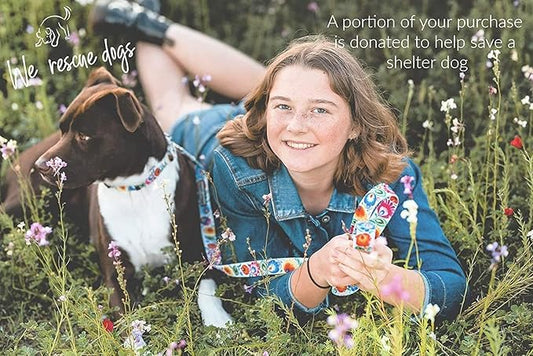 Lucky Love Dog Martingale Collar and Leash Set, Premium No Slip Collar and Leash Set, Vivid Floral Martingale Dog Collar, Great for Whippets, Greyhounds, and More (Ladybird, Medium - Combo)