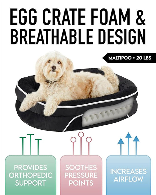 OhGeni Orthopedic Dog Bed for Medium Dogs, Dog Couch Design with Egg Foam Support, Removable, Washable Plush Cover and Non-Slip Bottom with Four Sided Bolster Cushion (Black)