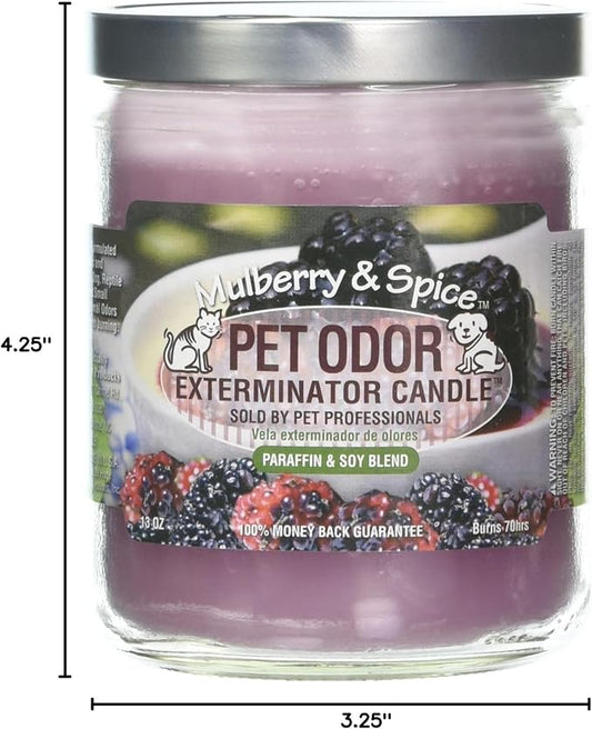 Pet Odor Exterminator Candle, Mulberry & Spice,13 oz