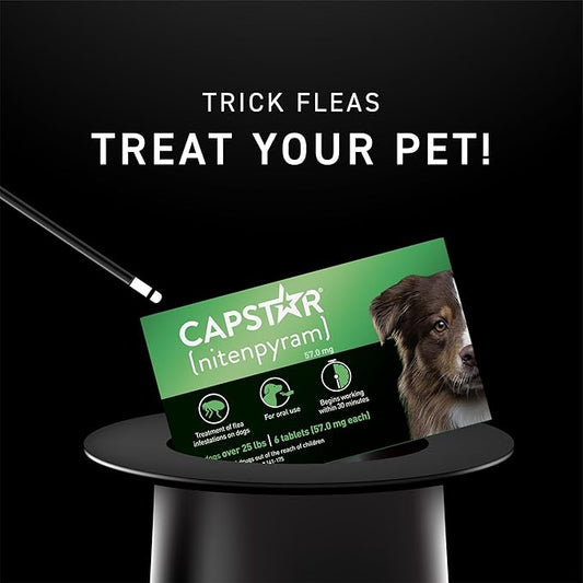 Capstar for Dogs (nitenpyram), Fast-Acting Oral Flea Treatment for Dogs Over 25+ lbs, Vet-Recommended Flea Medication Tablets Start Killing in 30 Minutes, 6 Doses