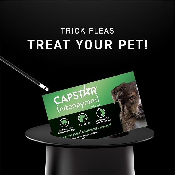 Capstar for Dogs (nitenpyram), Fast-Acting Oral Flea Treatment for Dogs Over 25+ lbs, Vet-Recommended Flea Medication Tablets Start Killing in 30 Minutes, 12 Doses