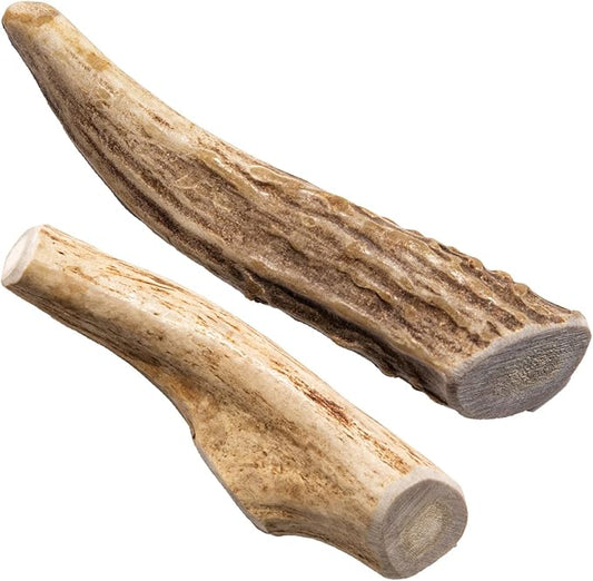 Snatchers Whole Elk Antlers for Mild to Aggressive Chewers – Durable, Naturally Shed Antlers for Dogs Processed in the USA with No Additives – Vitamin-Rich Dog Treats for Fun & Health (Medium 1 Count)
