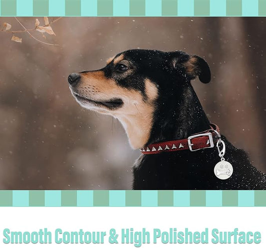 Divoti Leash King Pet Tag Quick Clip/Sping-Load Hook Combo for Pet ID Tags - 2 Medim w/Pack of Split Rings