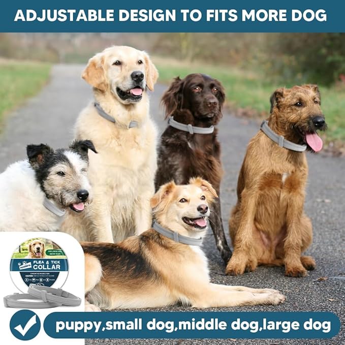 Flea Collar for Dogs, 8 Months Protection Flea & Tick Collars for Dogs, Dog Tick Collar, Adjustable One Size Fits All 2 Count 