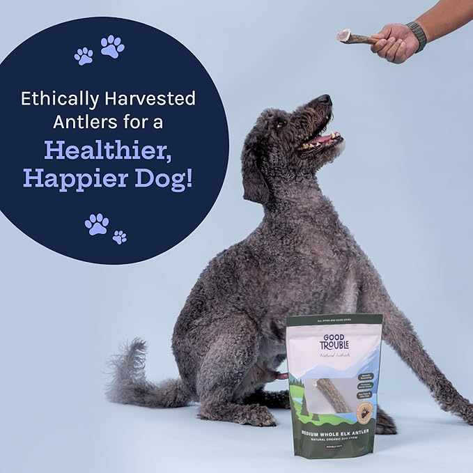 Good Trouble Pets Premium Elk Antlers for Large Dogs - All-Natural, Shed Antler Chews for Dental Health & Calming - Durable Dog Bones for Aggressive Chewers - Cruelty-Free, North American Sourced