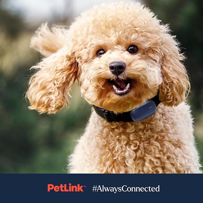 GPS Dog Tracker - Real-time Pet Tracker Collar - Waterproof Dog Tracker GPS with Virtual Fence