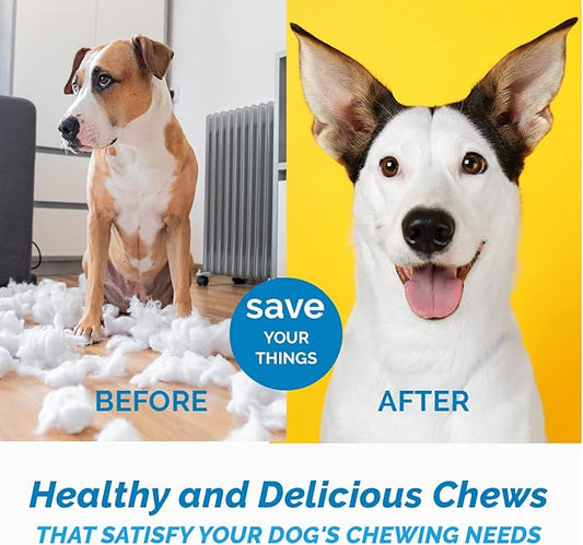 Lamb Ear Dog Chews (30 Count) - from All Natural Free Range Lambs - Quality Ears for Dogs