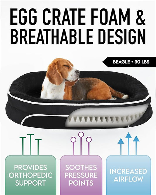 OhGeni Orthopedic Dog Bed for Large Dogs, Dog Couch Design with Egg Foam Support, Removable, Machine Washable Plush Cover and Non-Slip Bottom with Four Sided Bolster Cushion (Black)