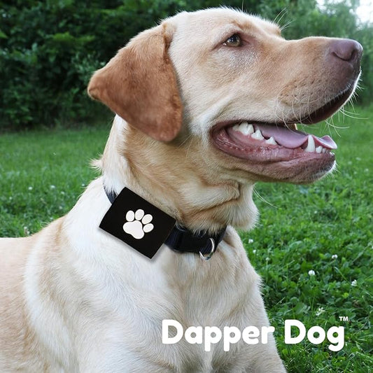 Dapper Dog Pet Tag Silencer and AirTag Holder (Black with White Paw)