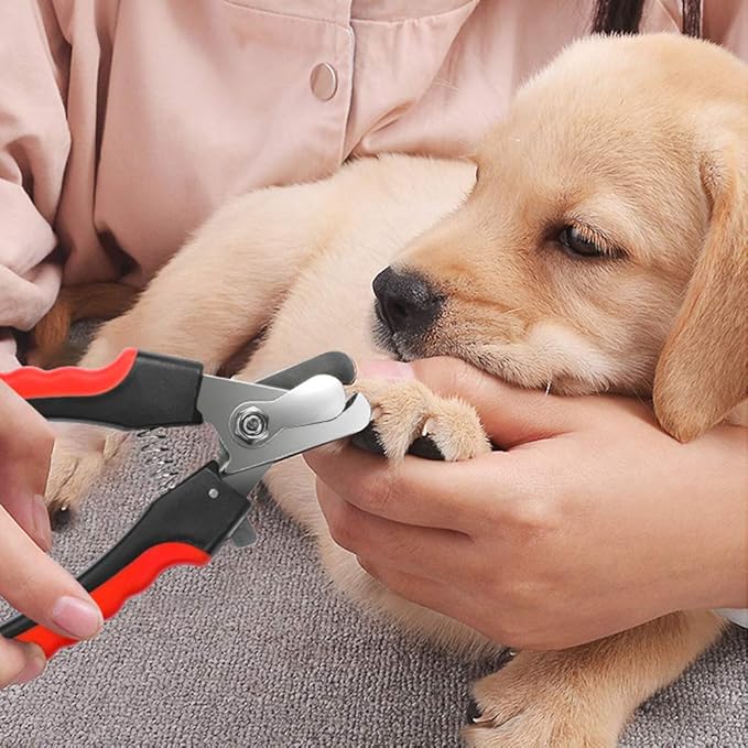 Dog Nails Clippers Trimmer with Safety Guard to Avoid Over-Cutting, Razor Sharp Blades with Bonus Dog Nail File, Cat Claw Clippers with Sturdy Non Slip Handles for Pets Dog Cat(Red & Black)