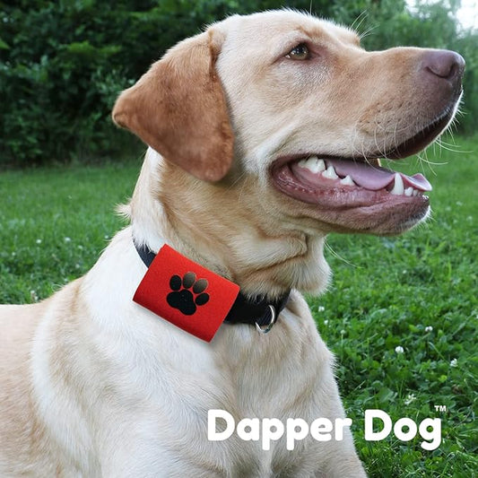 Dapper Dog Pet Tag Silencer and AirTag Holder (Red with Black Paw)