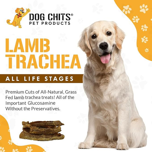 Dog Chits Lamb Trachea for Dogs - Dog and Puppy Chews | Amazing for Joints | Made in USA | Great for Pups Allergic to Beef | All-Natural Treats | Large and Small Dogs | 8 oz. Bag