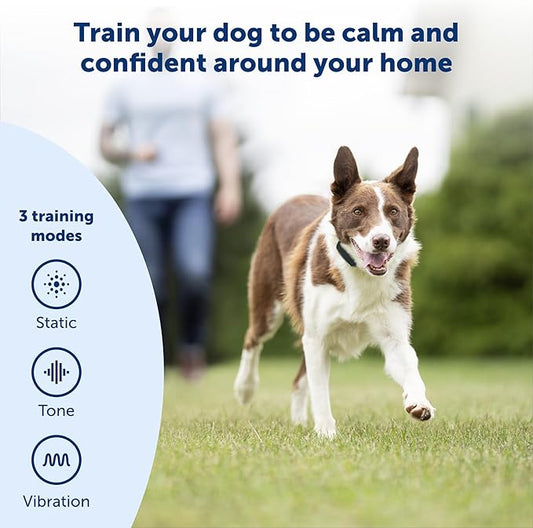 PetSafe Remote Trainer Dog Training Collar - 3 Training Modes: Tone, Vibration, 15 Levels of Static Stimulation, Standard for Dogs Over 8lb+ - Waterproof, Durable, Rechargeable - 100 Yards (300 Feet)