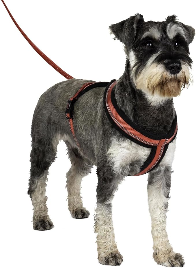 HALTI Comfy Harness - Lightweight, Fleece-Lined, Reflective & Adjustable Dog Harness, Front & Back Ring for a Dog Leash, Great for Puppy Walks (Size Medium)