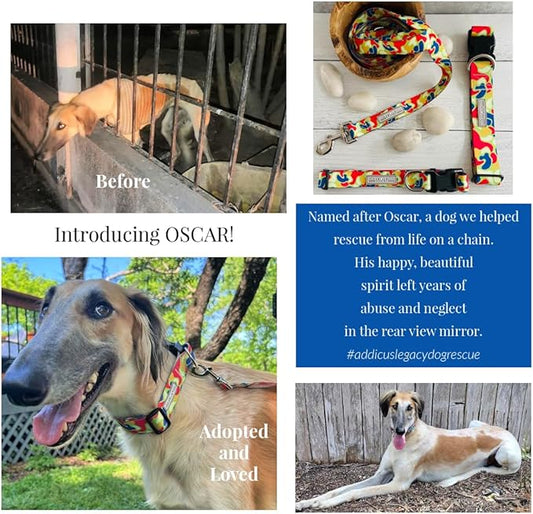 Lucky Love Dog Patterned Dog Collar & Leash - Adjustable, Durable, Soft Webbing, & Comfortable Dog Collar & Leash Set for Male and Female Dogs - in Oscar Pattern with Strong Buckle, Medium Size