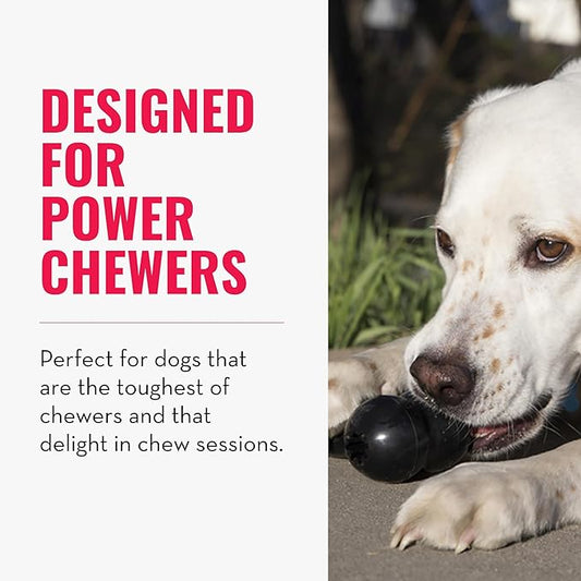 KONG - Extreme Goodie Bone - KONG's Most Durable Natural Rubber Dog Bone for Power Chewers - Black - For Medium Dogs