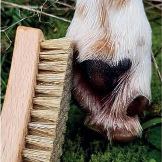 Paw Pet Brush - Oiled Beech Wood Handle - Natural Bristles - Made in Germany